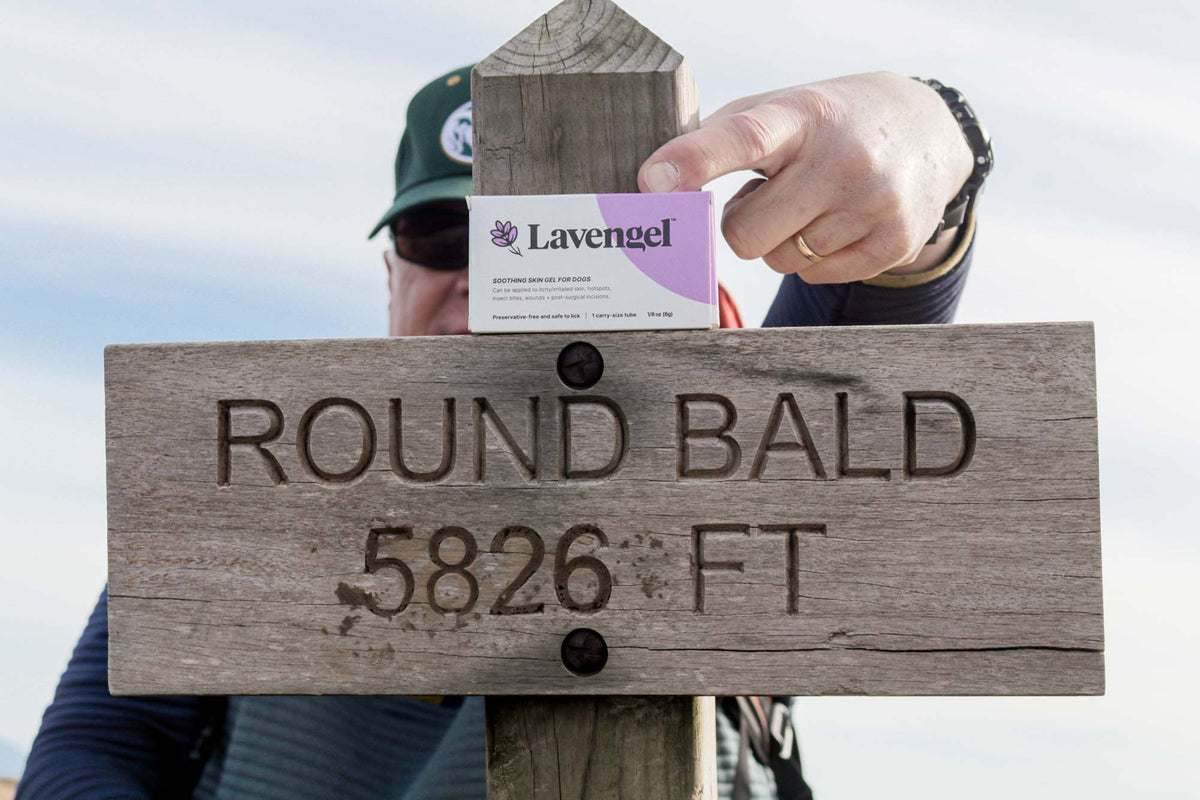 Andy Clark holds a Lavengel box in front of a wooden trail sign that reads 'ROUND BALD 5826 FT' outdoors under a cloudy sky.
