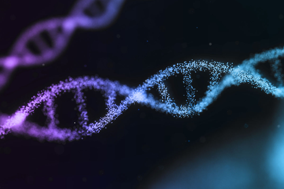 A stylized close-up of a DNA double helix rendered as glowing purple and blue particle strands against a dark black background.