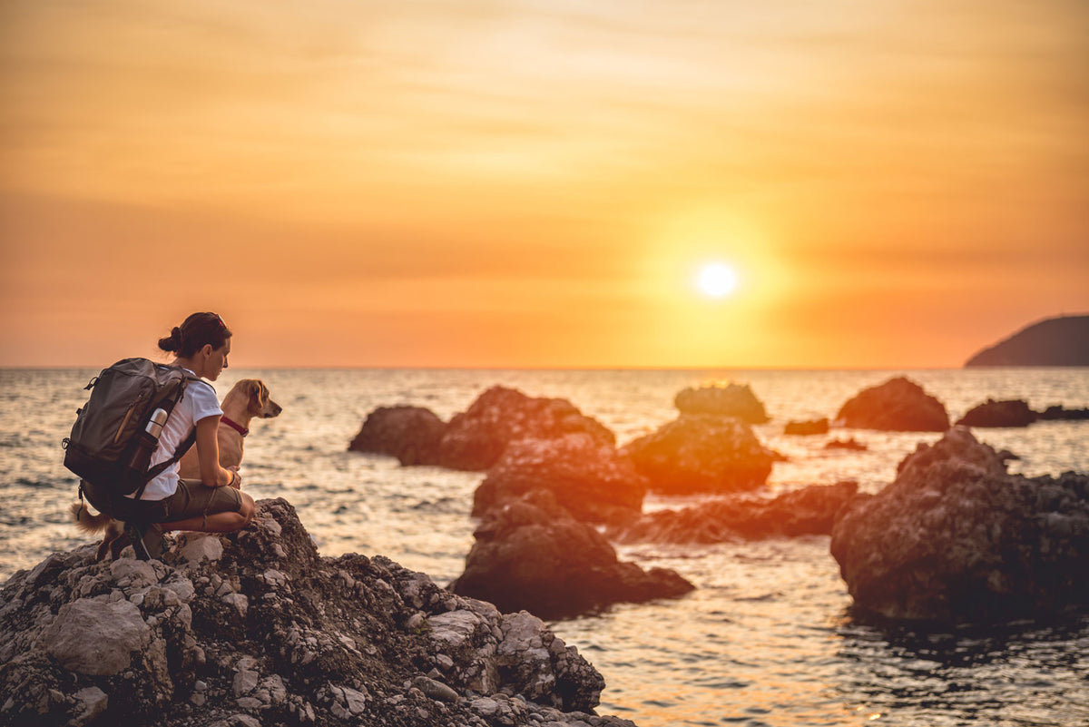 A woman with a dog sits on a rocky shoreline at sunset, facing the ocean with large rocks in the foreground and a warm golden sky behind them.