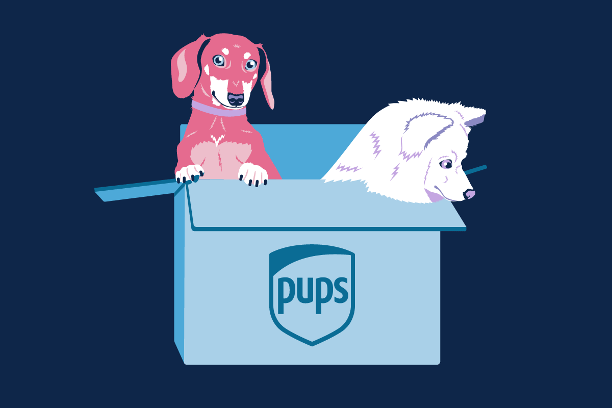 Two cartoon dogs in a box with 'pups' branding on a dark blue background