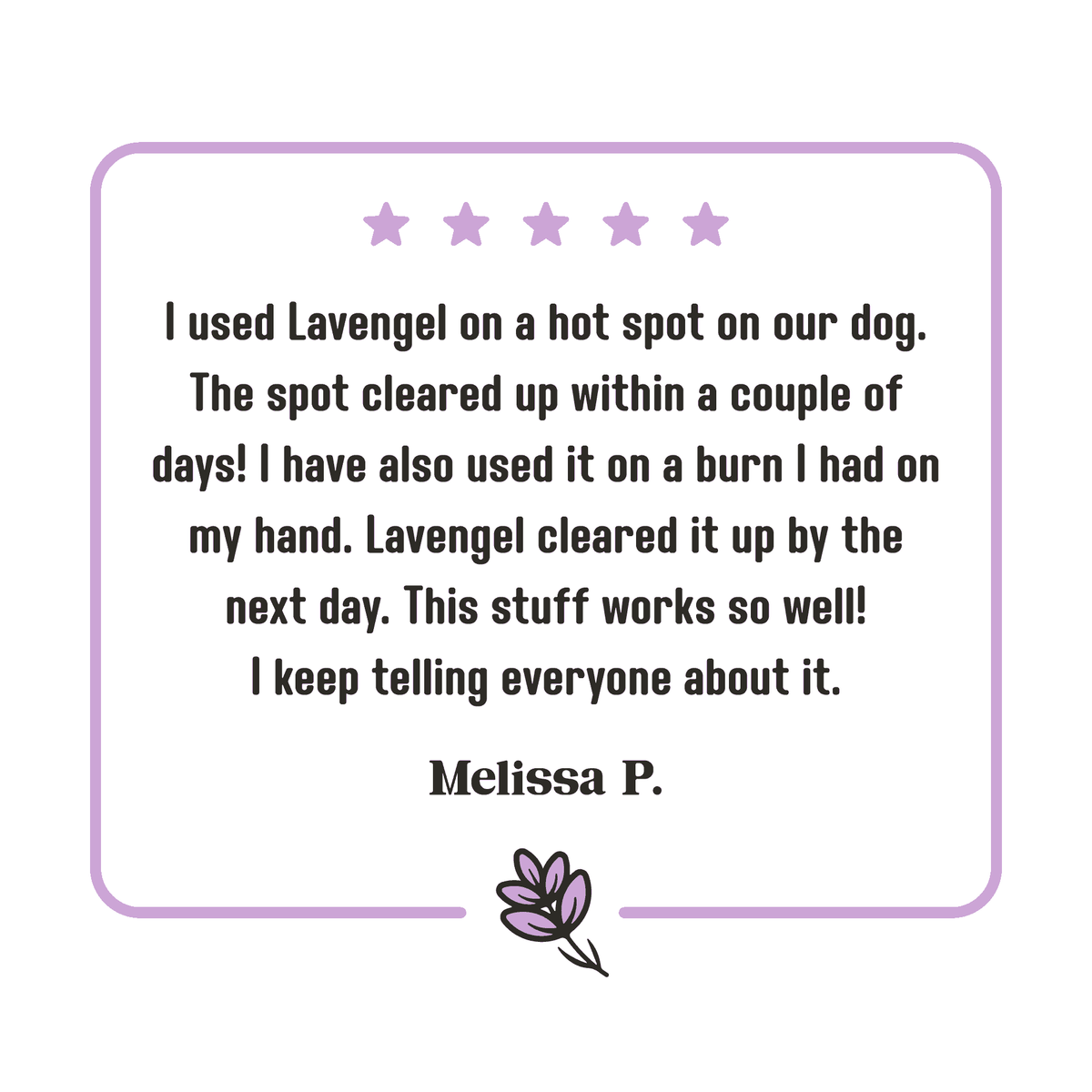 5-star Lavengel review from Melissa that reads: 'I used Lavengel on a hot spot on our dog. The spot cleared up within a couple of days! I have also used it on a burn I had on my hand. Lavengel cleared it up by the next day. This stuff works so well! I keep telling everyone about it.'!