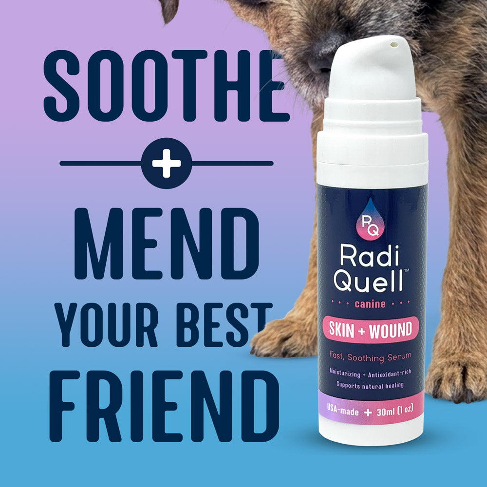 A RadiQuell® Canine skin and wound soothing serum bottle is shown in front of an inquisitive mix-breed dog on a purple-to-blue gradient background with the text 'SOOTHE + MEND YOUR BEST FRIEND'.