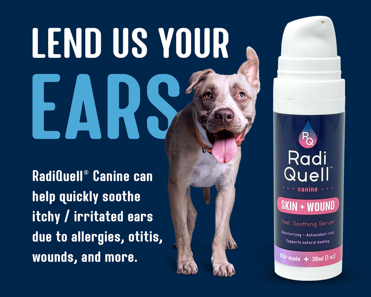 RadiQuell Canine Skin + Wound soothing serum bottle shown next to a pitbull-type dog on a dark blue background with promotional text about canine ear care.