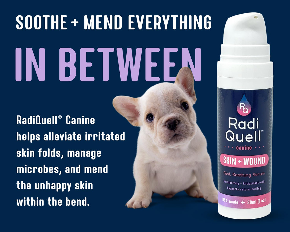 RadiQuell Canine Skin + Wound serum bottle shown next to a small French Bulldog puppy on a dark blue background with promotional text.