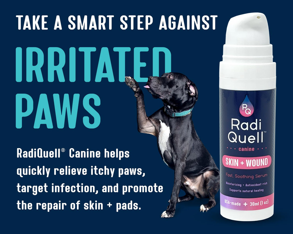 RadiQuell® Canine Skin + Wound soothing serum bottle shown next to a black and white dog on a dark blue background with promotional text.