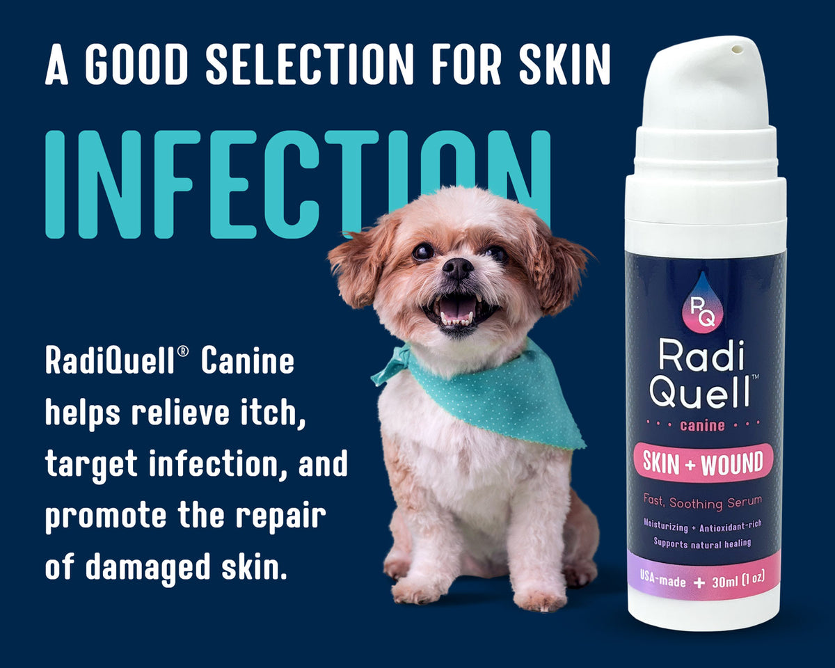 RadiQuell Canine Skin + Wound soothing serum bottle shown next to a small Shih Tzu dog wearing a teal bandana, on a dark blue background with promotional text.