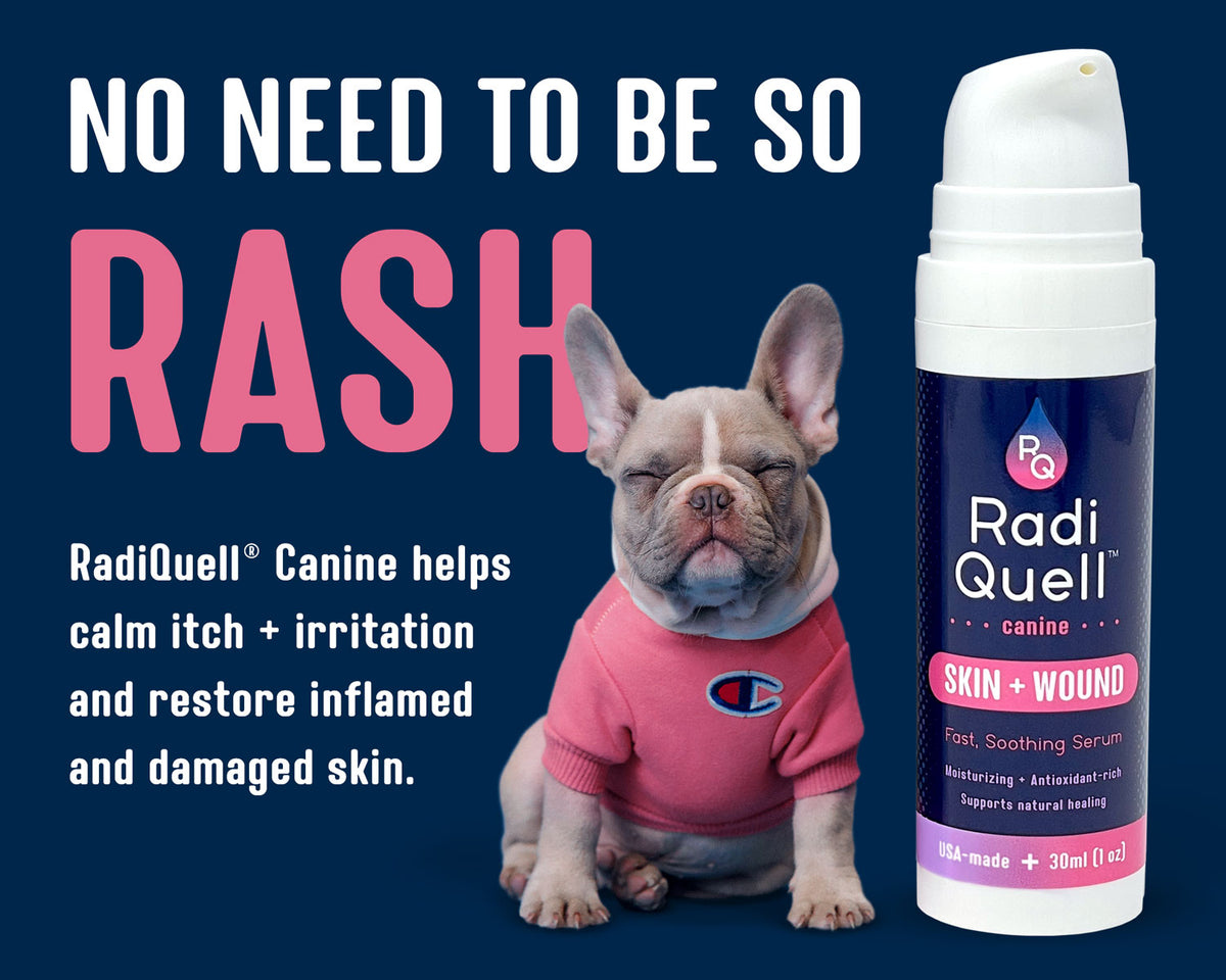 RadiQuell Canine Skin and Wound treatment bottle shown next to a French bulldog wearing a pink sweater, with promotional text on a dark blue background.