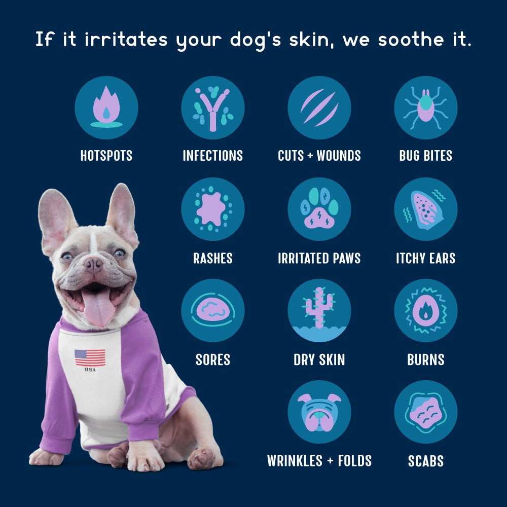 A French bulldog wearing a purple and white shirt sits on a dark blue background with text and icons listing dog skin irritations such as hotspots, infections, cuts and wounds, bug bites, rashes, irritated paws, itchy ears, sores, dry skin, burns, wrinkles + folds, and scabs.